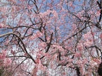 DSCN1840.JPG