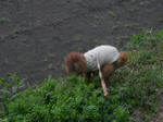 DSCN1846.JPG
