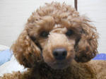DSCN1847.JPG