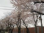 DSCN1856.JPG