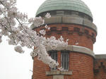 DSCN1861.JPG