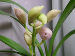 DSCN1864.JPG