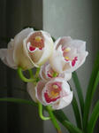 DSCN1872.JPG