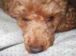 DSCN1879.JPG