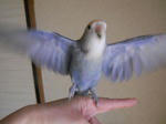 DSCN1906.JPG