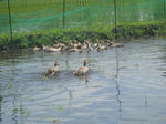 DSCN1942.JPG