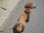 DSCN1986.JPG