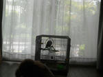 DSCN2002.JPG