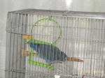DSCN2003.JPG