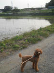 DSCN2025.JPG