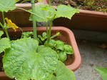 DSCN2038.JPG