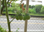 DSCN2039.JPG
