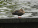 DSCN2043.JPG
