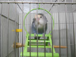 DSCN2046.JPG