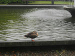 DSCN2044.JPG