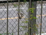 DSCN2047.JPG