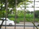 DSCN2049.JPG