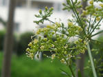 RSCN2057.JPG