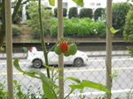 DSCN2070.JPG