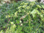 DSCN2076.JPG