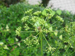 DSCN2074.JPG