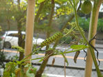 DSCN2089.JPG