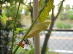 DSCN2095.JPG