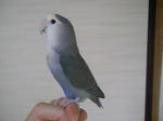 DSCN2098.JPG