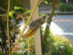 DSCN2108.JPG