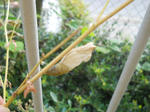 DSCN2111.JPG