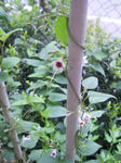 DSCN2120.JPG