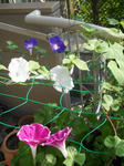 DSCN2122.JPG