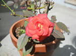 DSCN2127.JPG