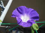 DSCN2131.JPG