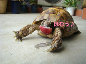 mu-DSC00558.jpg