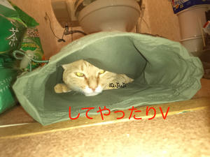 jack-8.jpg