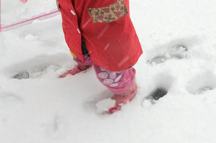 東京・雪・1月14日