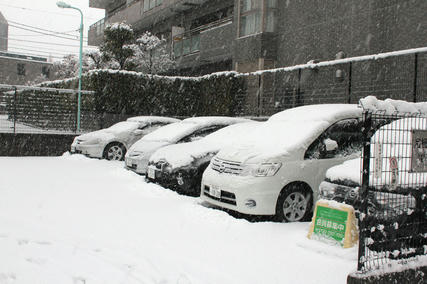東京・雪・1月14日