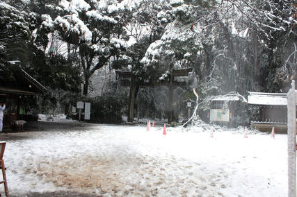 東京・雪・1月14日