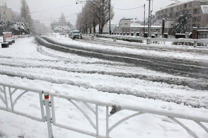 東京・雪・1月14日