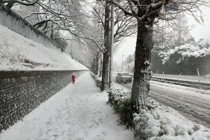 東京・雪・1月14日