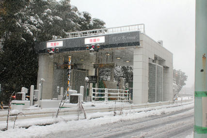 東京・雪・1月14日