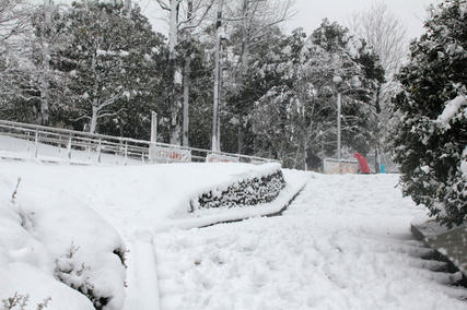 東京・雪・1月14日