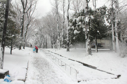 東京・雪・1月14日