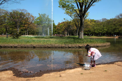 代々木公園・おたまじゃくし