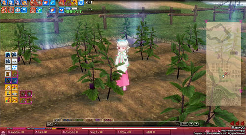 mabinogi_2012_06_26_001.jpg