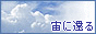 banner.gif