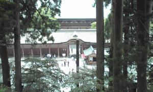 080618_1326~01.jpg