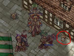 niwaniwa.jpg