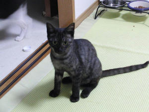 937660d8.jpg